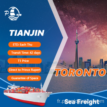 Freight de mer de Tianjin à Toronto